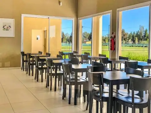 Lote interno