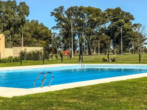 Lote interno