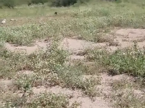 Terreno en Venta de 7890,0 m2