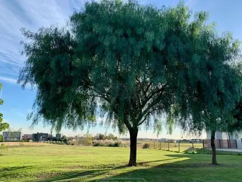 Terreno en Venta en San Sebastian, USD 65.000