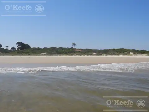 Tierra apta desarrollo de 117 has en Canelones, Uruguay