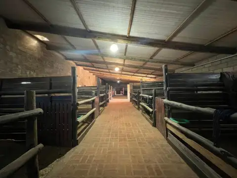 Casa en venta - 2 dormitorios 1 baño - 600 mts2 - La Reja