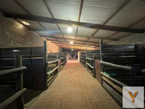 Casa en venta - 2 dormitorios 1 baño - 600 mts2 - La Reja