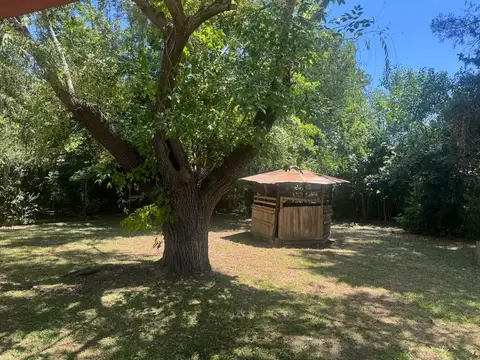 Quinta en Alquiler en Virrey del Pino, $ 1.000.000