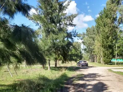 Terreno en Venta en Lisandro Olmos Etcheverry, USD 10.000