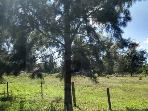 Terreno en Venta 10  mts Frente