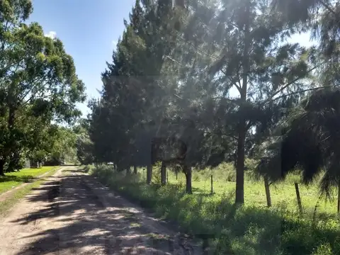 Terreno en Venta 22  mts Fondo