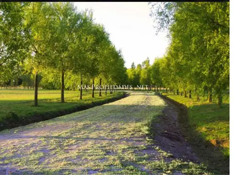 Terreno en Venta 20  mts Fondo