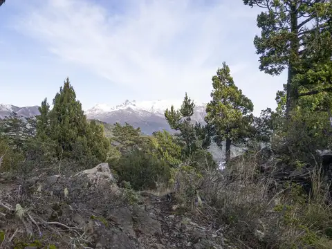 Terreno en Venta de 22498,0 m2