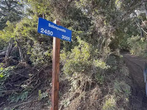 Sobrepuesto