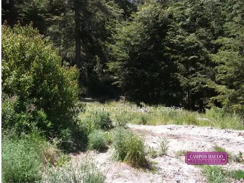 LOTE PLANO CON VISTA AL LAGO EN BAHÍA MONTAÑA - MANZANO- VIL