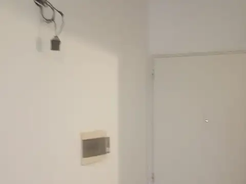 ZAPIOLA 100