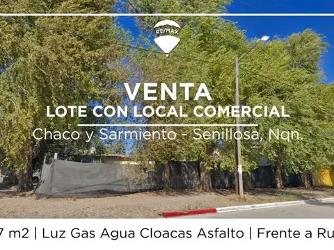 VENTA LOTE FRENTE A RUTA EN SENILLOSA