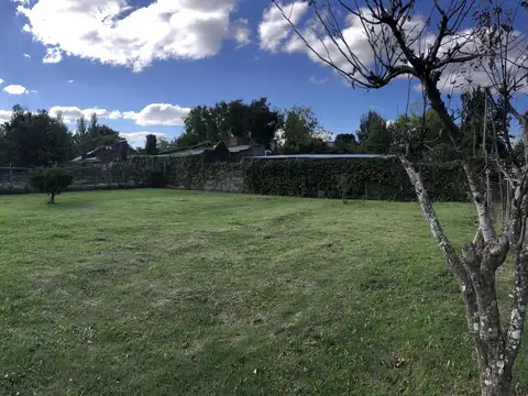 416 134 y 135
