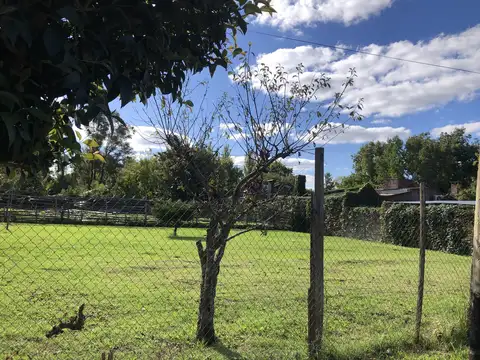Terreno en Villa Elisa 416 134 y 135 20x46.5