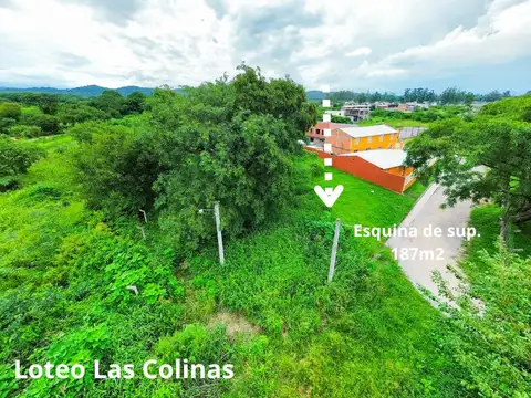 Colectora Ruta 9