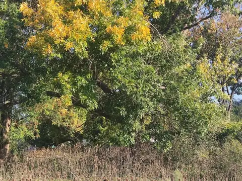 Terreno en Venta 20  mts Frente