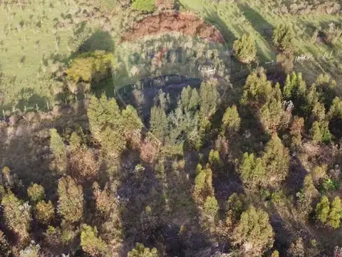Venta de Campo 3 Ha. en Ruta 8 Km.45 Empalme Olmos