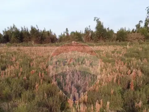 Ruta 8 Km. 100