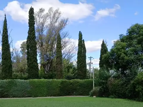 Bºcdo Villa Flaubert, Flaubert 500
