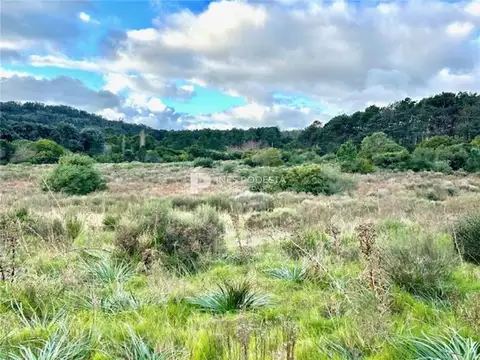 Campo en Venta de 5  ha