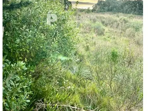 Campo en Venta Chacra