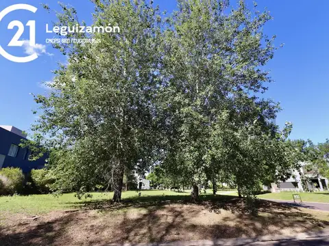 ruta 9 km 65 , Piso 0