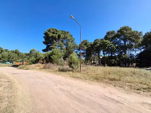 Terreno en Venta de 798,0 m2