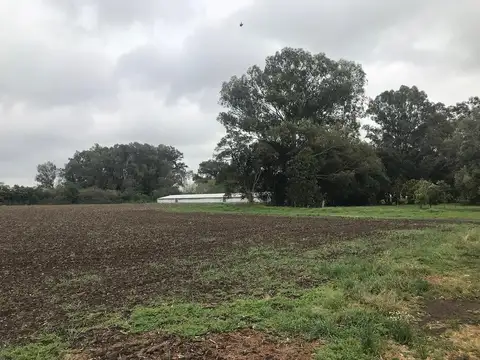 Rural 2000