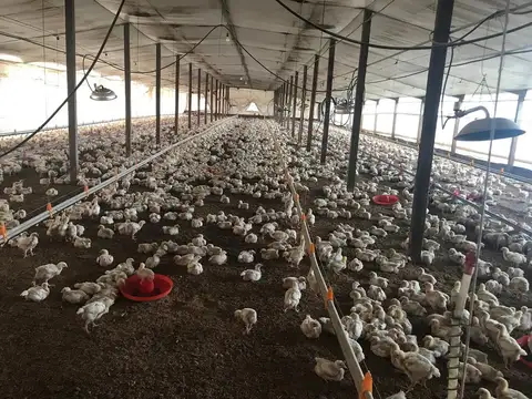 Campo en Venta con Alambrado