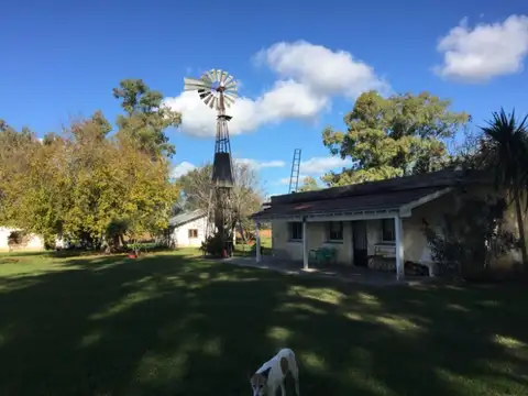 Campo en Venta de 6  ha