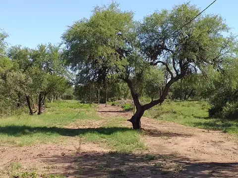 Terreno en Venta en Centro, Carpinteria
