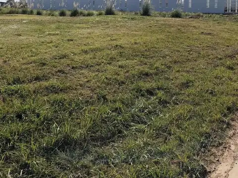 Puente del Inca al 2000 - Polo Industrial Ezeiza