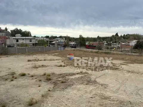 LOTE DE 5000 MTS2 EN CORDON FORESTAL