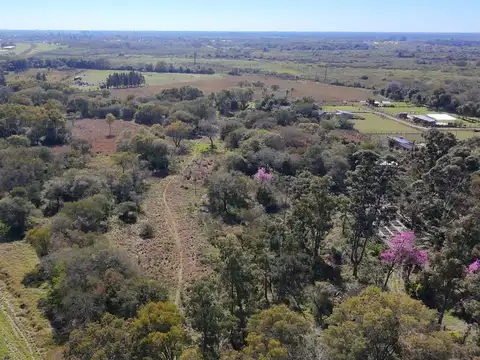Parcelas De 1 A 2 Hectareas Sobre Ruta-ruta 11 Km