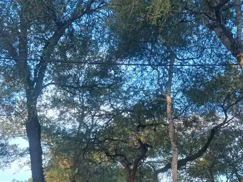 Terreno en Venta de 300,0 m2