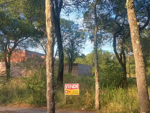 El Guapo de Portal Arboledas