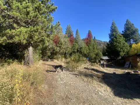 Ruta Nacional N° 40
