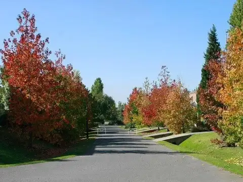 Terreno en Venta de 596,0 m2