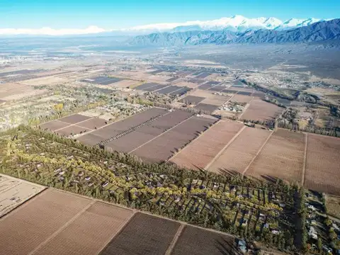Terreno en Venta en Vistalba, Lujan de Cuyo