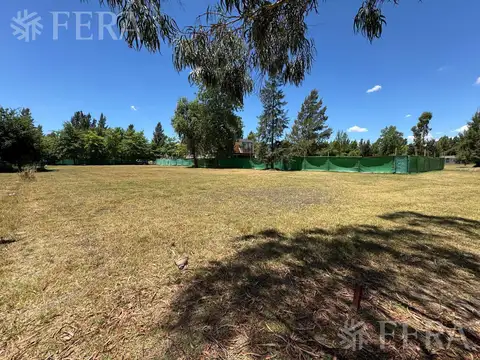 Terreno en Venta 20  mts Fondo