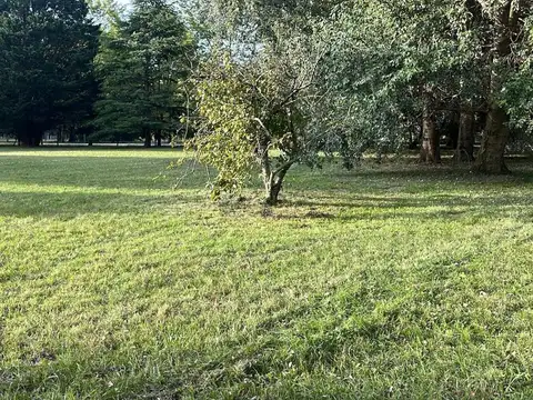 VENTA LOTE EN BARRIO PINARES DE SANTA CLARA 