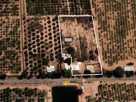 VENDO FINCA DE 1 ha y CASA  CENTRO DE COQUIMBITO 