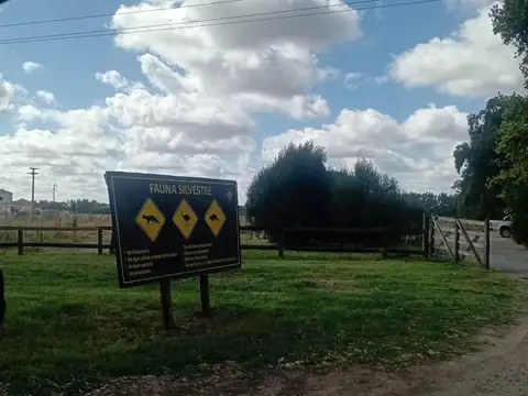 Chacra en Venta 9 ambientes en Benquerencia Farm Club con Galpón Molino y Amenities