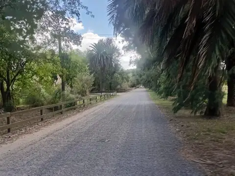 Ruta provincial 41 km 11 San Miguel del Monte