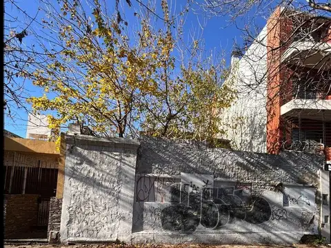 Pergamino al 500