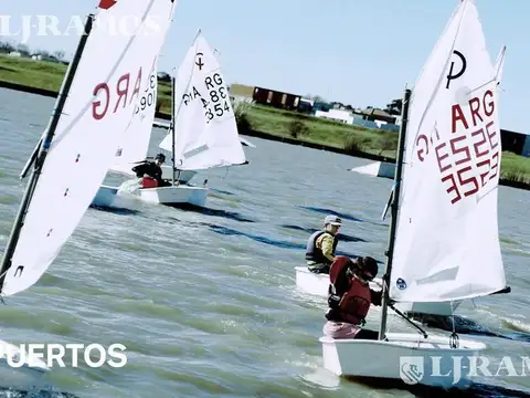 Terreno - Araucarias