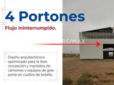 Chile 100