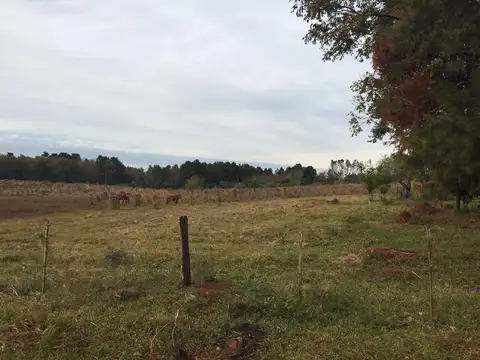 Terreno en Venta en Ituzaingó, USD 70.000