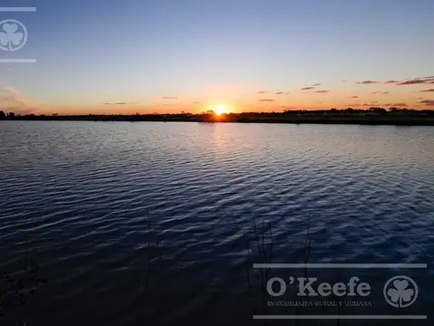 Lote en venta en Puerto Nizuc - Oportunidad de inversión en Guillermo Hudson